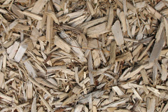 biomass boilers Rowardennan