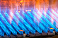 Rowardennan gas fired boilers